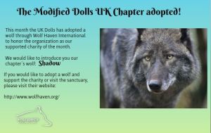 Shadow adoption flyer
